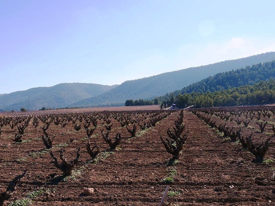 Properties for sale in Bullas, Murcia province Kyero